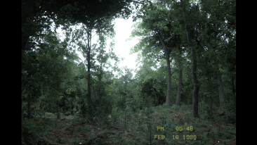 SILENT BREATH screenshot 7