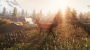 Subsistence screenshot 7