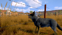 Pasture: The Livestock Simulator screenshot 6