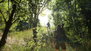 Forest Doesn’t Care screenshot 11