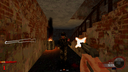 Nazi Zombies screenshot 4