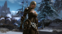 Guild Wars 2 screenshot 4