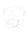 SkyInFlames cover art