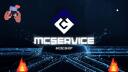 Discovery splash banner for McService Support Discord server
