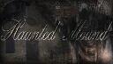 Discovery splash banner for Haunted Mound Discord server