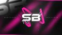Discovery splash banner for SocialBar | Active Chat • VC Calls • Gaming • Emotes • Hangout • Anime • Chill • Fun • Friends Discord server