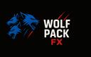 Discovery splash banner for WOLF PACK FX Discord server