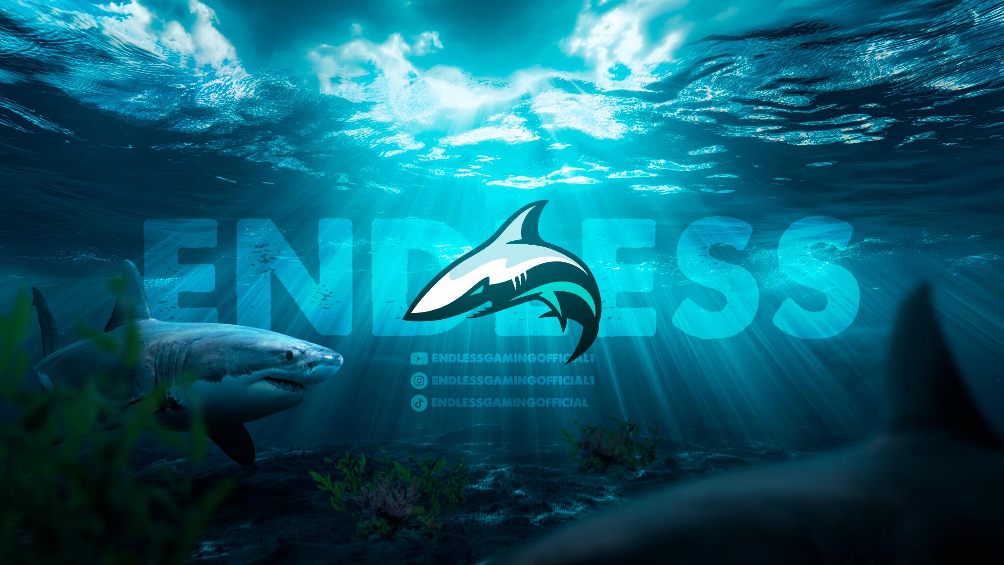 Discovery splash banner for Endless Gaming® 🦈 #2.0K? Discord server