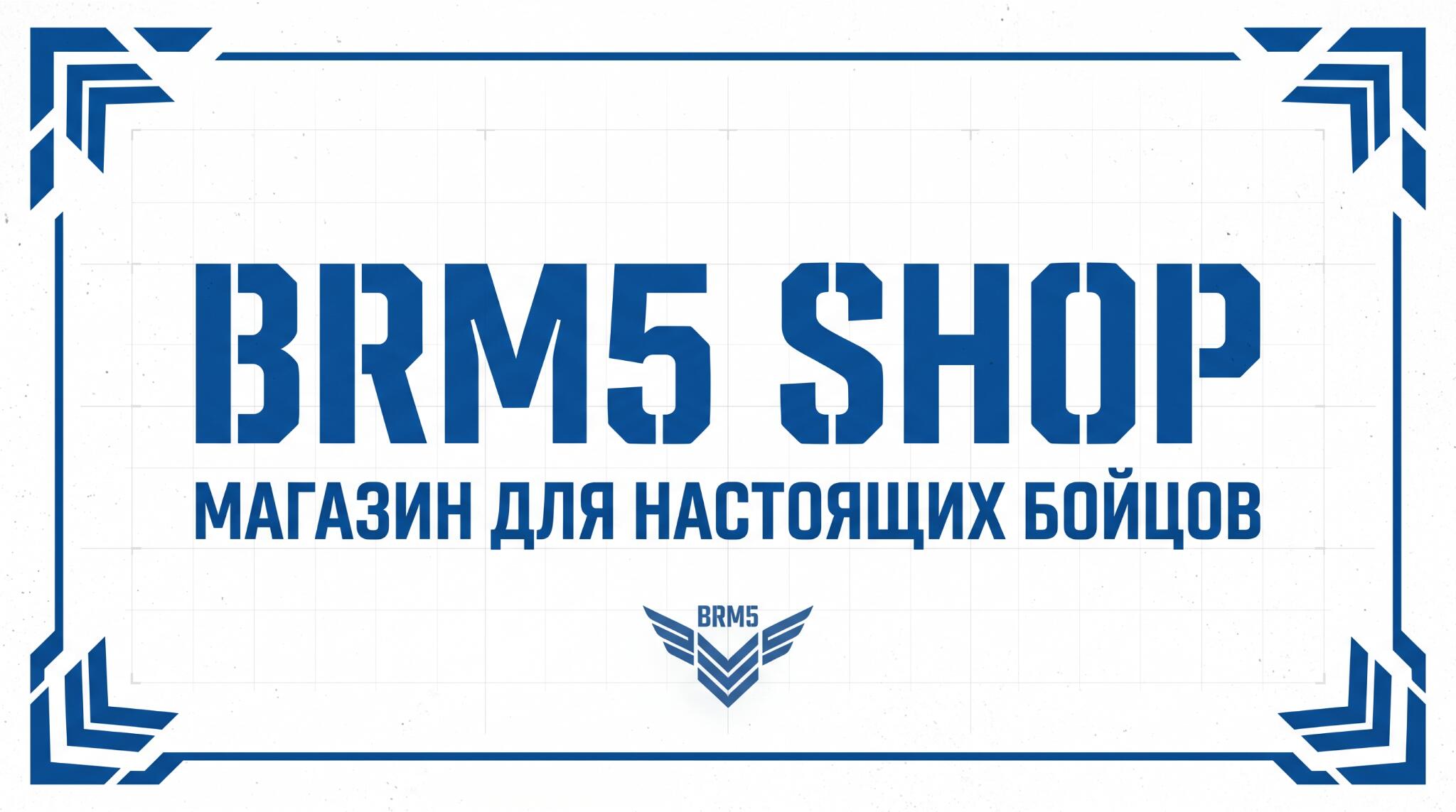 Discovery splash banner for 🌍BRM5 SHOP® 『GLOBAL』 Discord server
