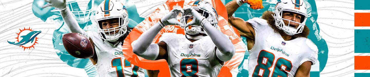 Discovery splash banner for /r/MiamiDolphins Discord server