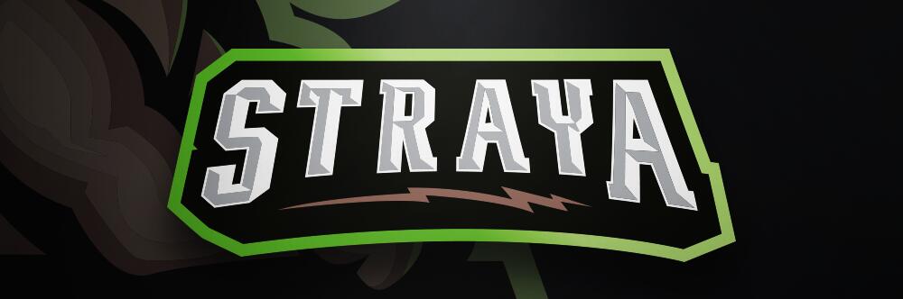Discovery splash banner for StrayaGaming Discord server