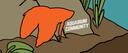 Discovery splash banner for Aquarium Community Discord server