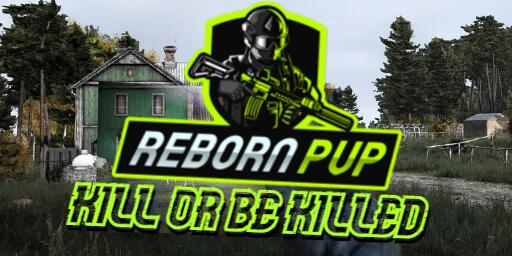 Discovery splash banner for RebornPVP Discord server