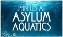 Discovery splash banner for Asylum Aquatics Discord server