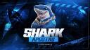 Discovery splash banner for Shark Apostas・ff 4v4・freefire apostado・ff・apostado ff・apostado shark・4v4 ff・ff apostado Discord server
