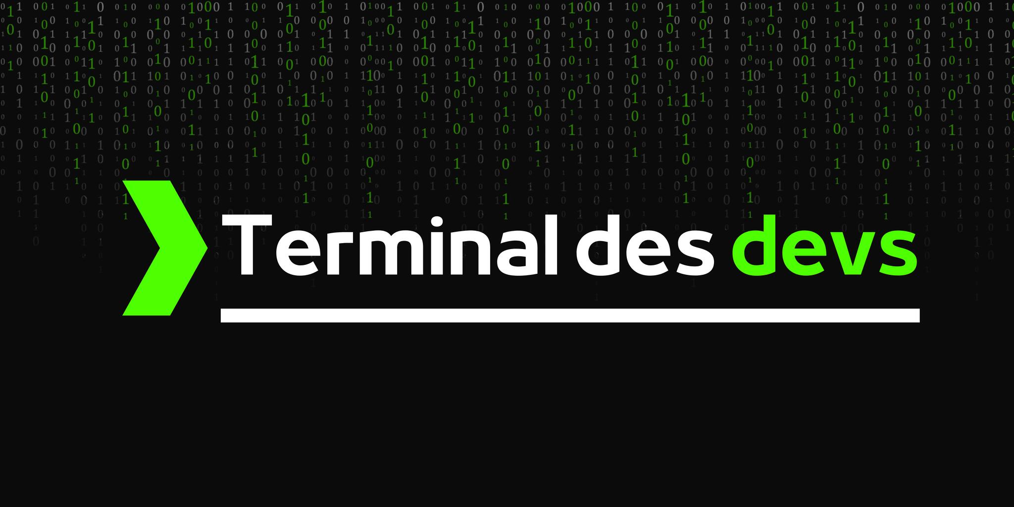 Discovery splash banner for Terminal des devs Discord server
