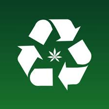 Discovery icon for Ecológica Verde Discord server