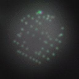 Discovery icon for Kaalateral Discord server