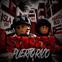 Discovery icon for 🩸 | STTS Puerto Rico RP Discord server