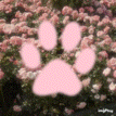 Discovery icon for ˖ ✿ ˚ ｡ 　ノdarliing Discord server
