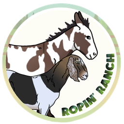 Discovery icon for Ropin' Ranch Discord server