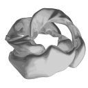 Discovery icon for Ainzy Discord server