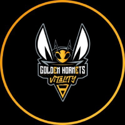 Discovery icon for Golden Hornets Discord server